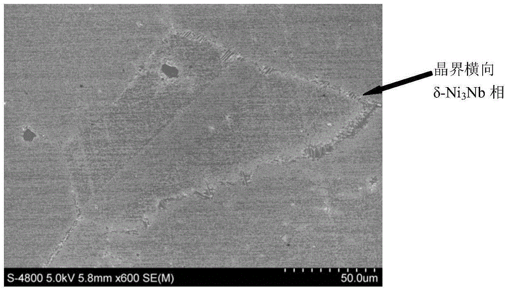 Metallographical corrosive for observing delta-Ni3Nb phase in ferronickel-based superalloy structure and using method of metallographical corrosive