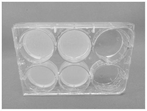 A method for changing the color development of genipin cross-linked collagen by using sunlight