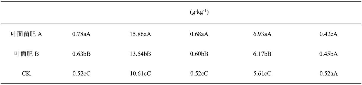 Efficient foliar bacterial fertilizer for vegetables as well as preparation method and application thereof