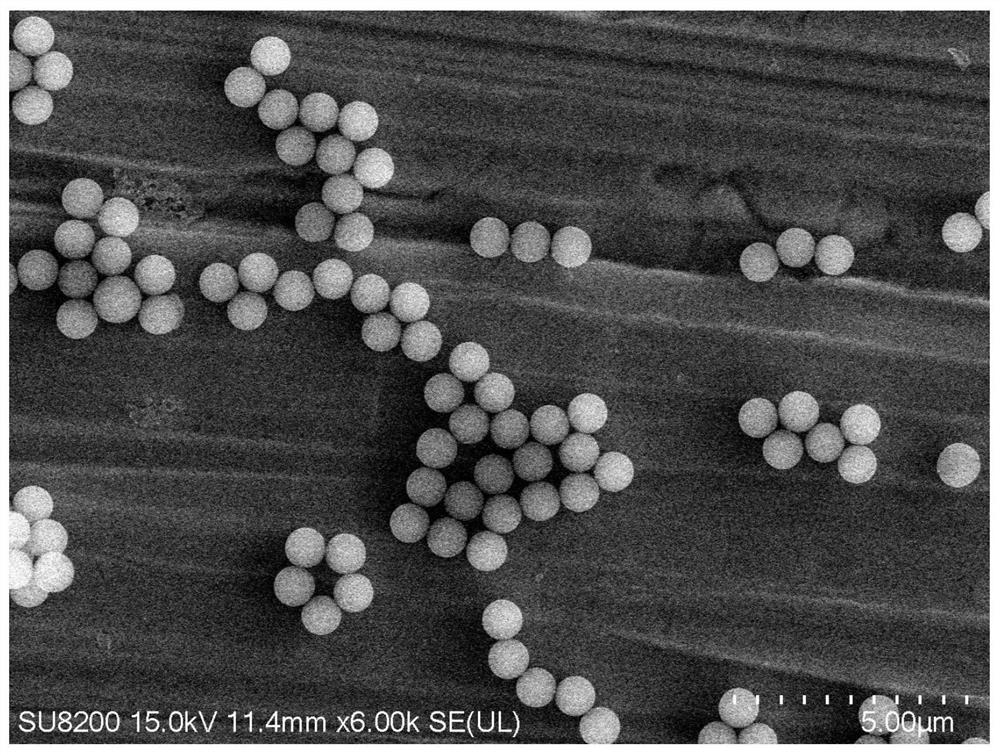 A kind of preparation method of high-purity monodisperse porous silica ball