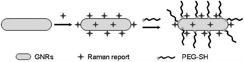 A kind of nir SERS probe and its preparation method and application