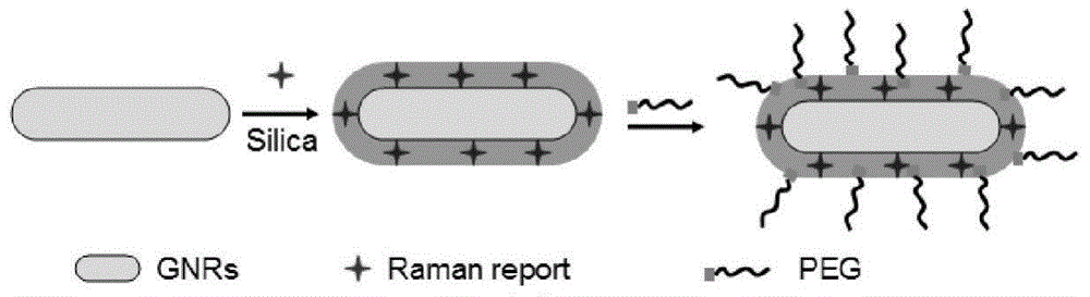 A kind of nir SERS probe and its preparation method and application