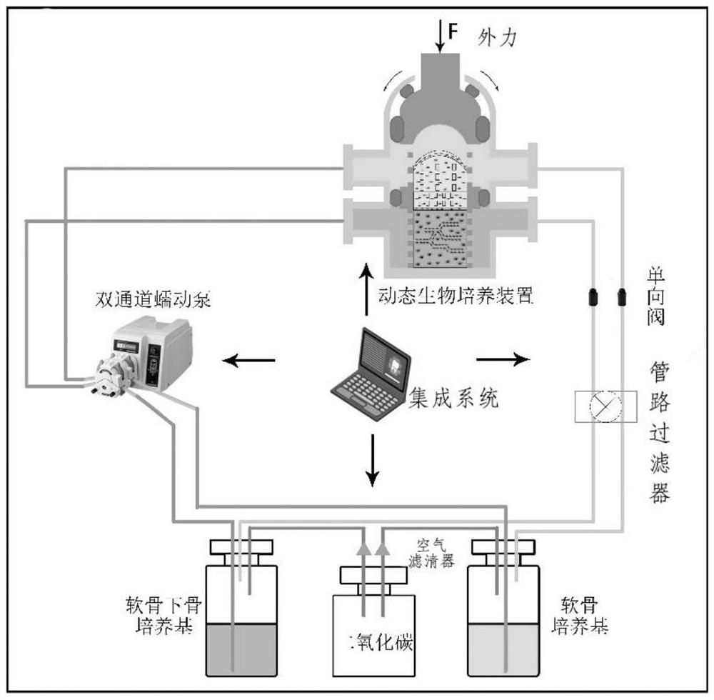 Multifunctional dynamic bioreactor for multiphase osteochondral scaffold