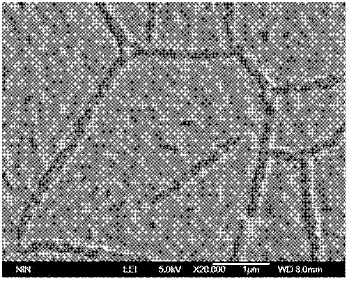 Method for preparing bismuth ferrite functional film by short wave ultraviolet irradiation pretreatment