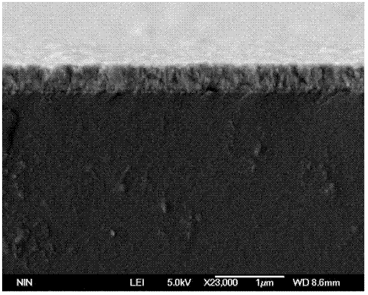 Method for preparing bismuth ferrite functional film by short wave ultraviolet irradiation pretreatment