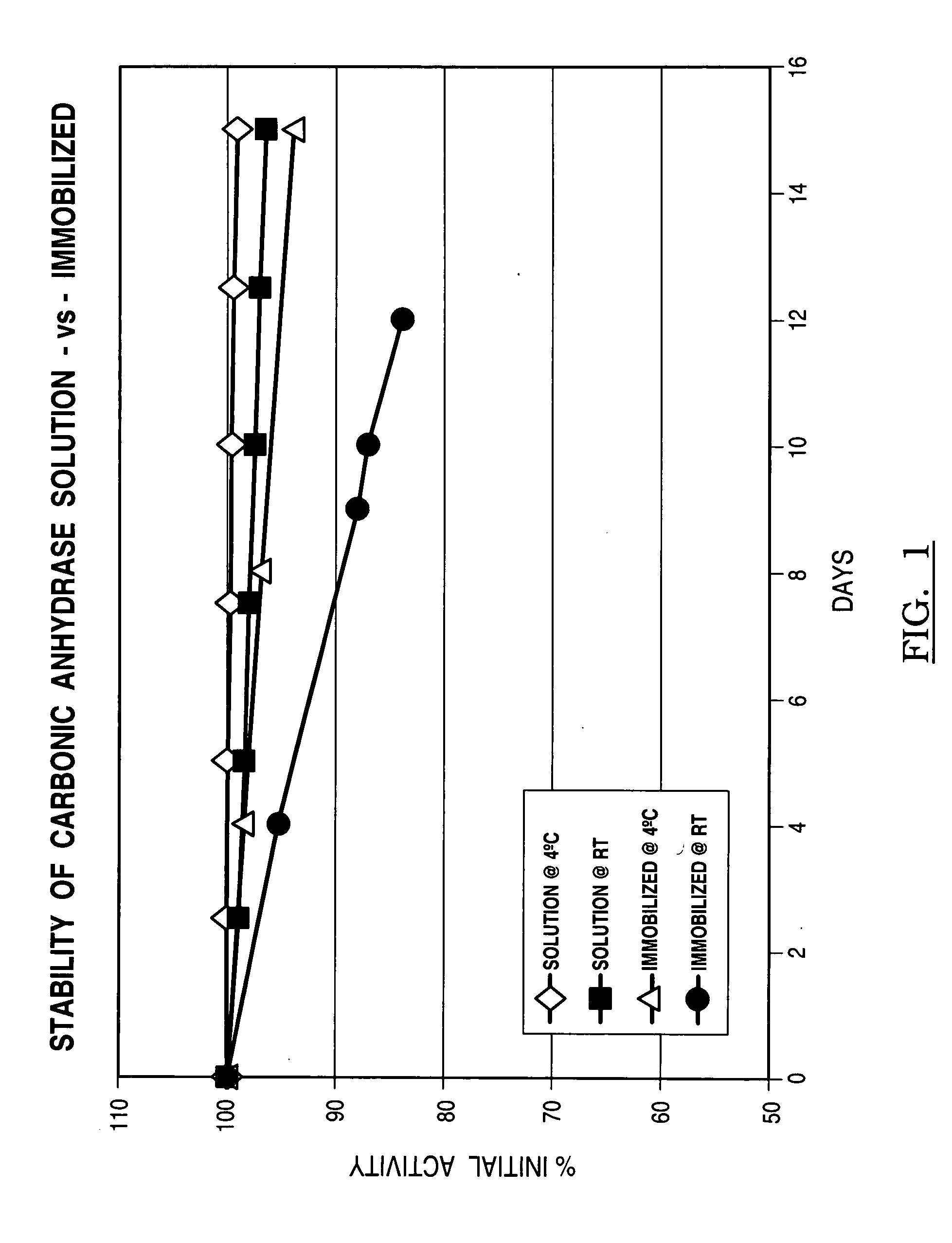 Process for immobilization of protein catalysts, product, and use