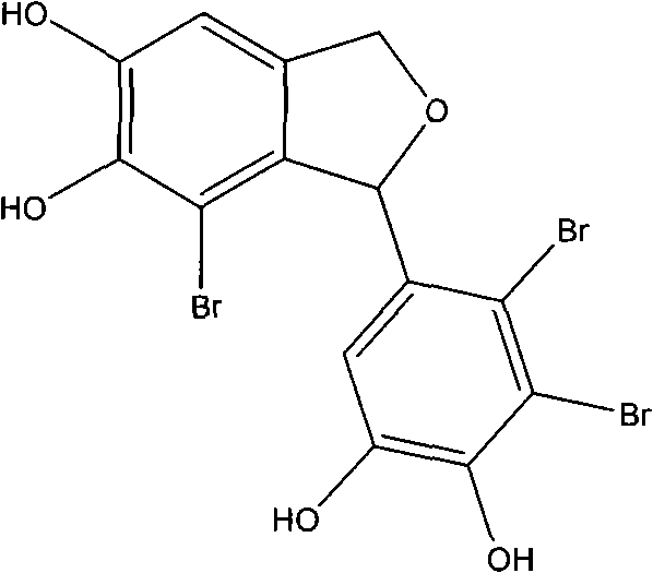 Application of bromine phenolic compound in preparing medicament for treating type 2 diabetes or adiposis