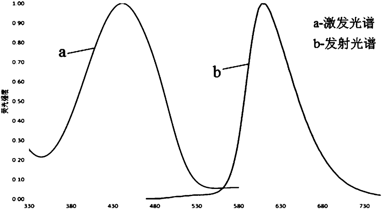 Fluorescent protein, fusion protein, isolated nucleic acid, vector and application thereof