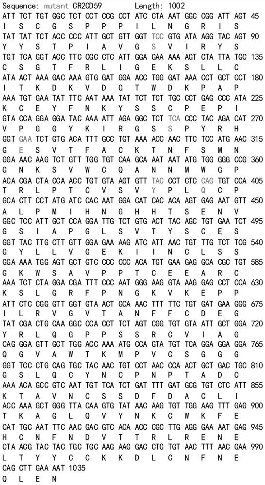 Human target complement inhibitor protein mcr2-cd59 and its application