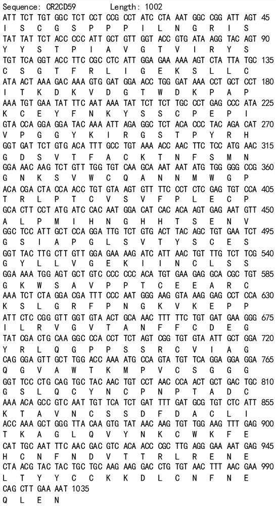 Human target complement inhibitor protein mcr2-cd59 and its application