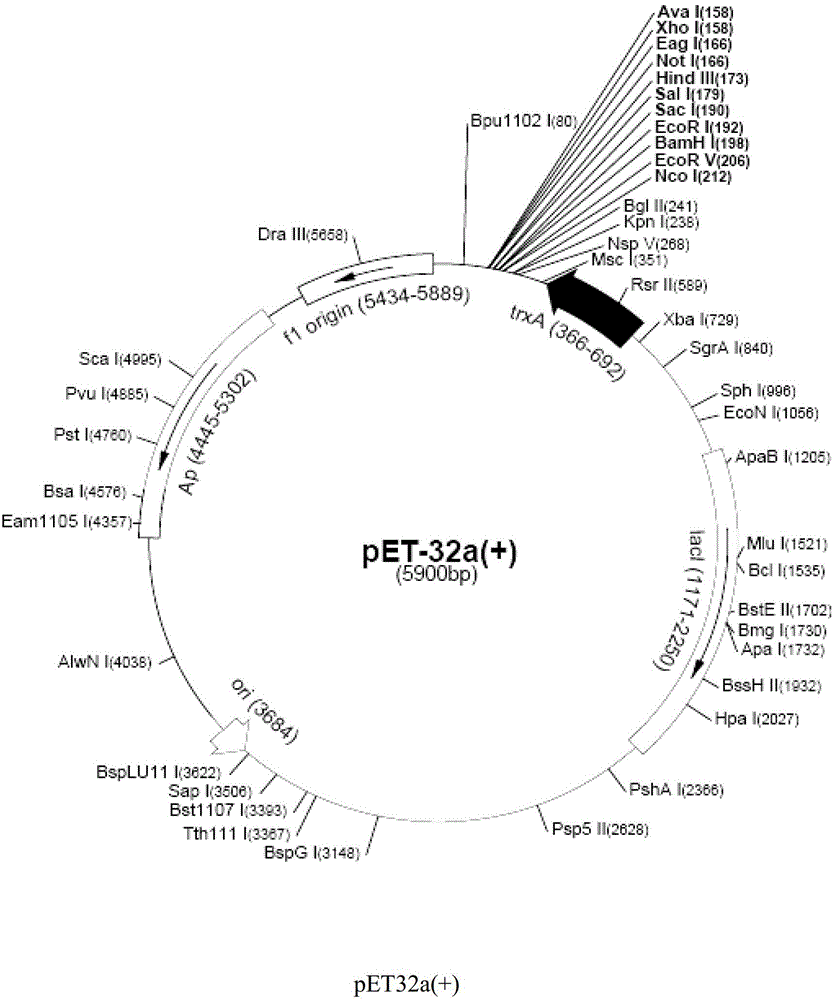 Mestin modulators and uses thereof