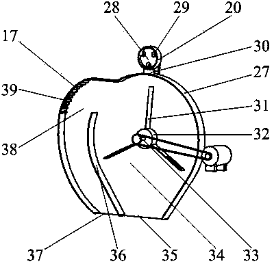 Volute type walnut shell breaking machine with beating rotary drum