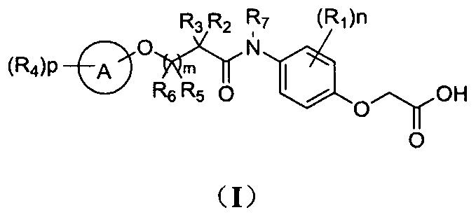 Phenoxyacetic acid derivatives and preparation method thereof, and application of phenoxyacetic acid derivatives as drug