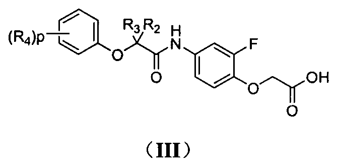 Phenoxyacetic acid derivatives and preparation method thereof, and application of phenoxyacetic acid derivatives as drug