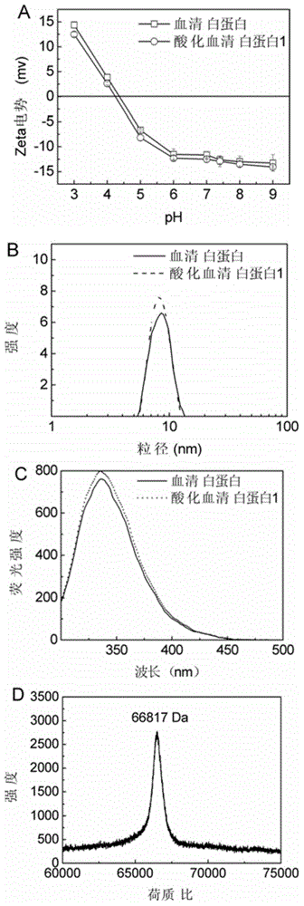 Acidified albumin and preparation method thereof, and application of acidified albumin in inhibiting beta-amyloid protein aggregation