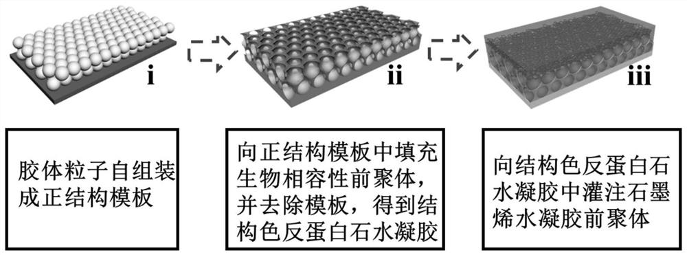 Graphene structural color film and preparation method and application thereof