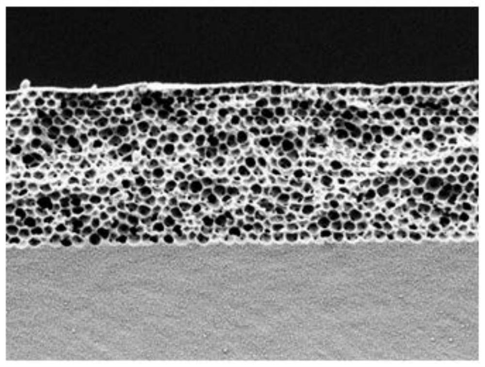 Graphene structural color film and preparation method and application thereof