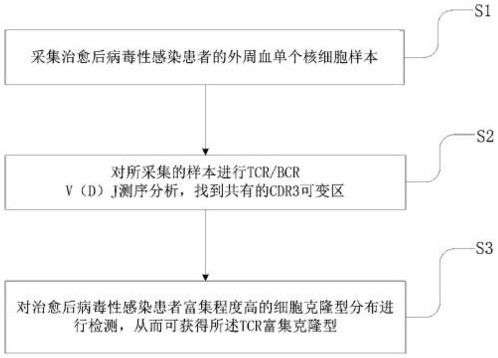 TCR-enriched clonotype as well as acquisition method and application thereof