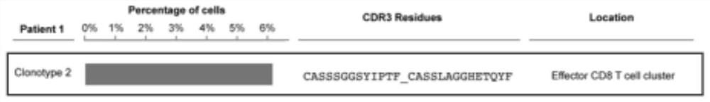 TCR-enriched clonotype as well as acquisition method and application thereof