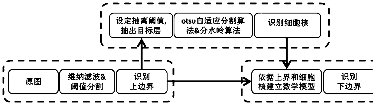 Quantitative analysis system for retinopathy based on image recognition