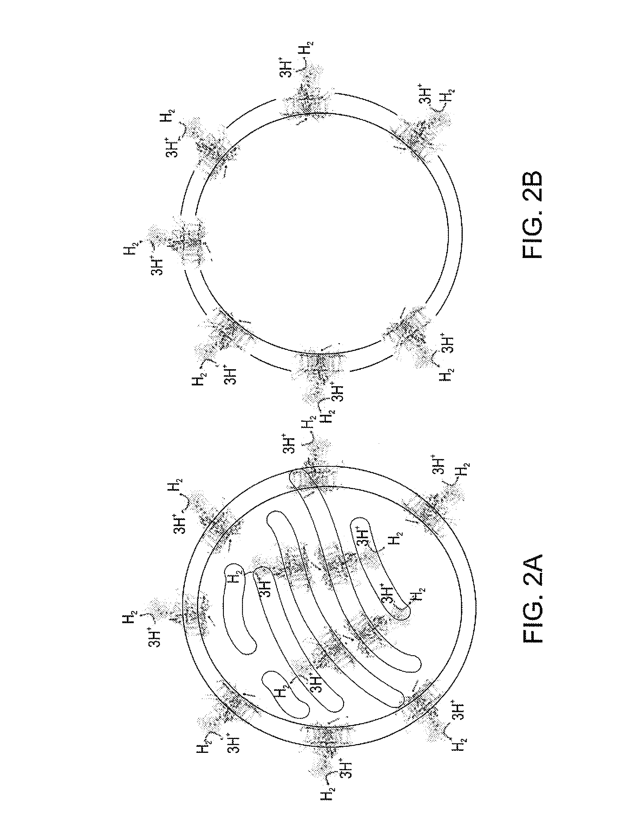 Photocatalytic hydrogen production and polypeptides capable of same