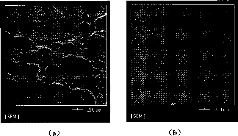 Epoxy resin curing agent, method for preparing same and application thereof