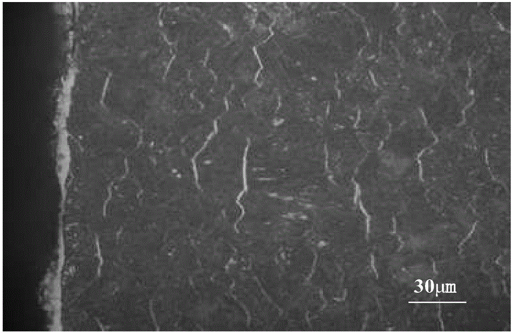 Ion nitriding method for efficiently controlling formation of vein-like nitride on surface layer of 38CrMoAl mold