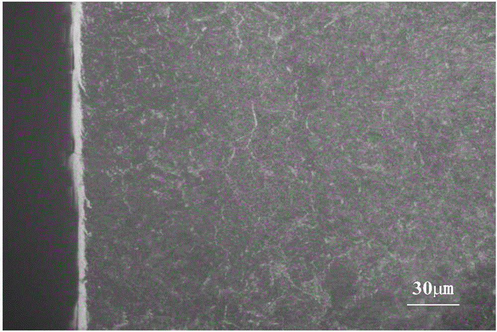 Ion nitriding method for efficiently controlling formation of vein-like nitride on surface layer of 38CrMoAl mold