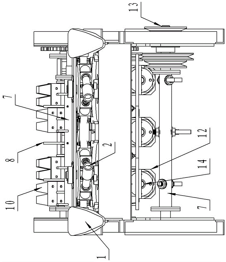 Cutting Mini Sugarcane Harvester