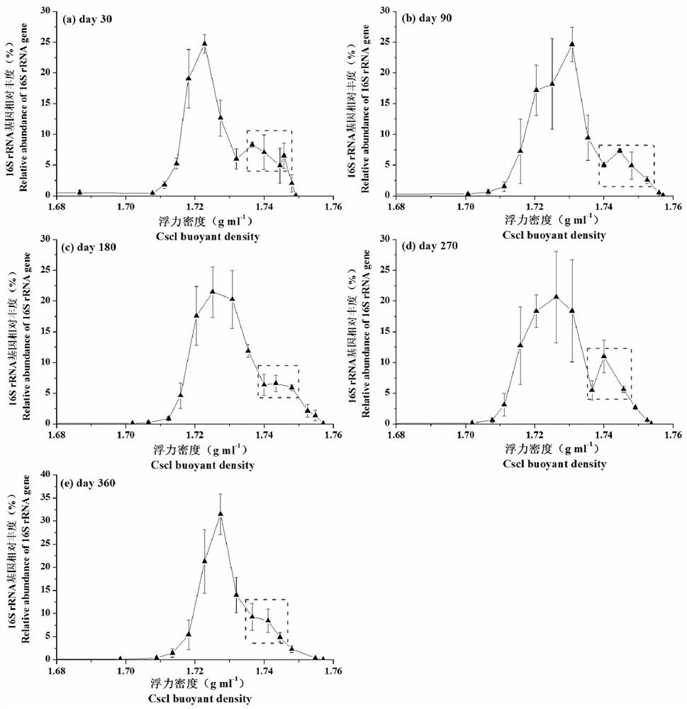 Method for identifying corn straw carbon assimilation key microorganisms in soil