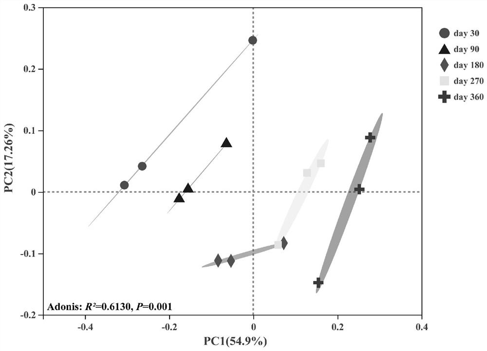 Method for identifying corn straw carbon assimilation key microorganisms in soil