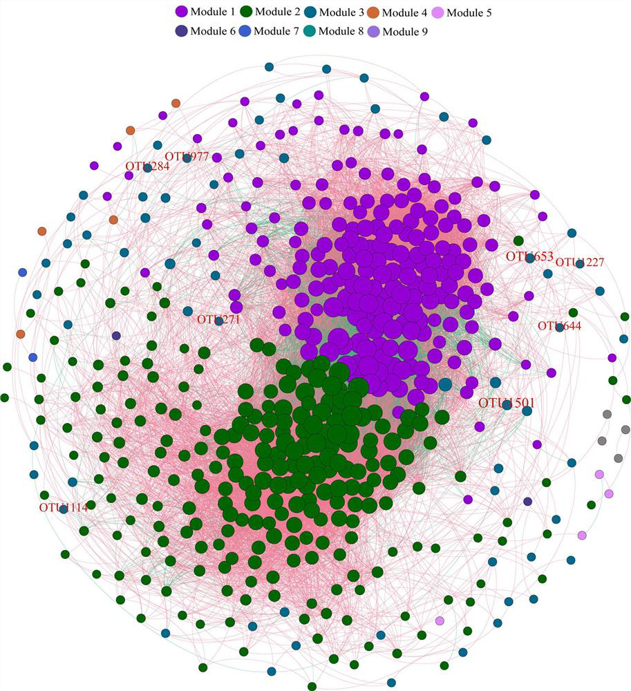 Method for identifying corn straw carbon assimilation key microorganisms in soil