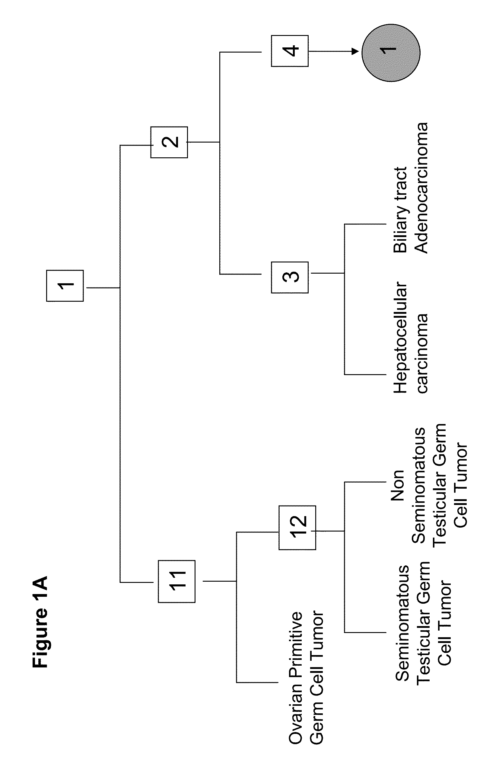 Gene expression signature for classification of tissue of origin of tumor samples