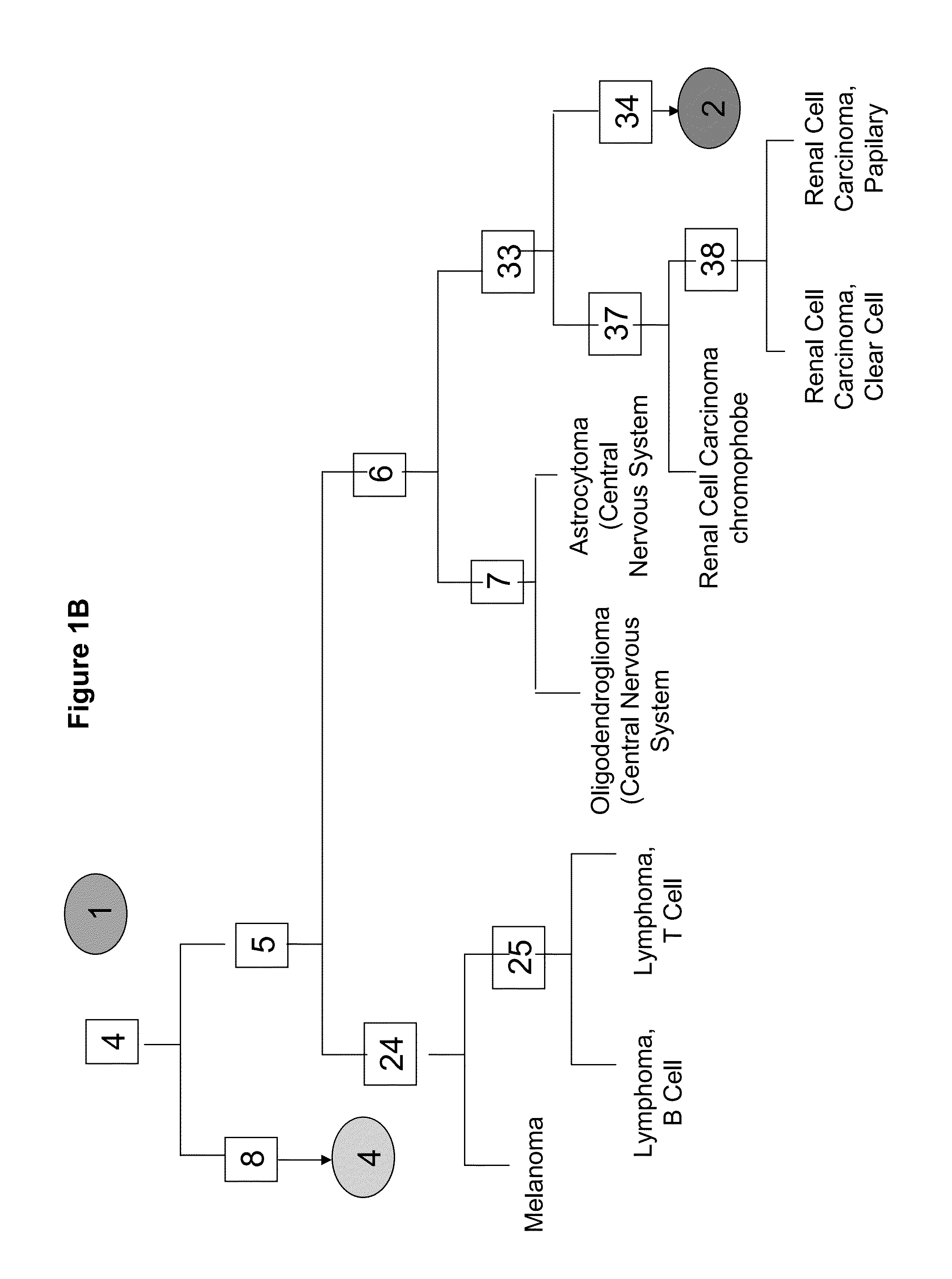 Gene expression signature for classification of tissue of origin of tumor samples