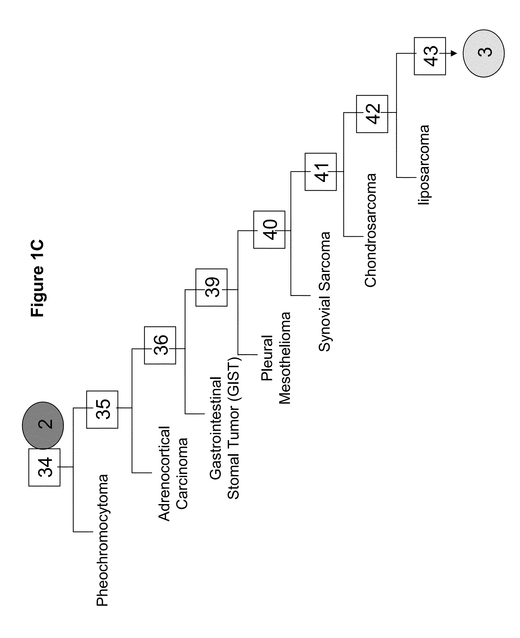 Gene expression signature for classification of tissue of origin of tumor samples