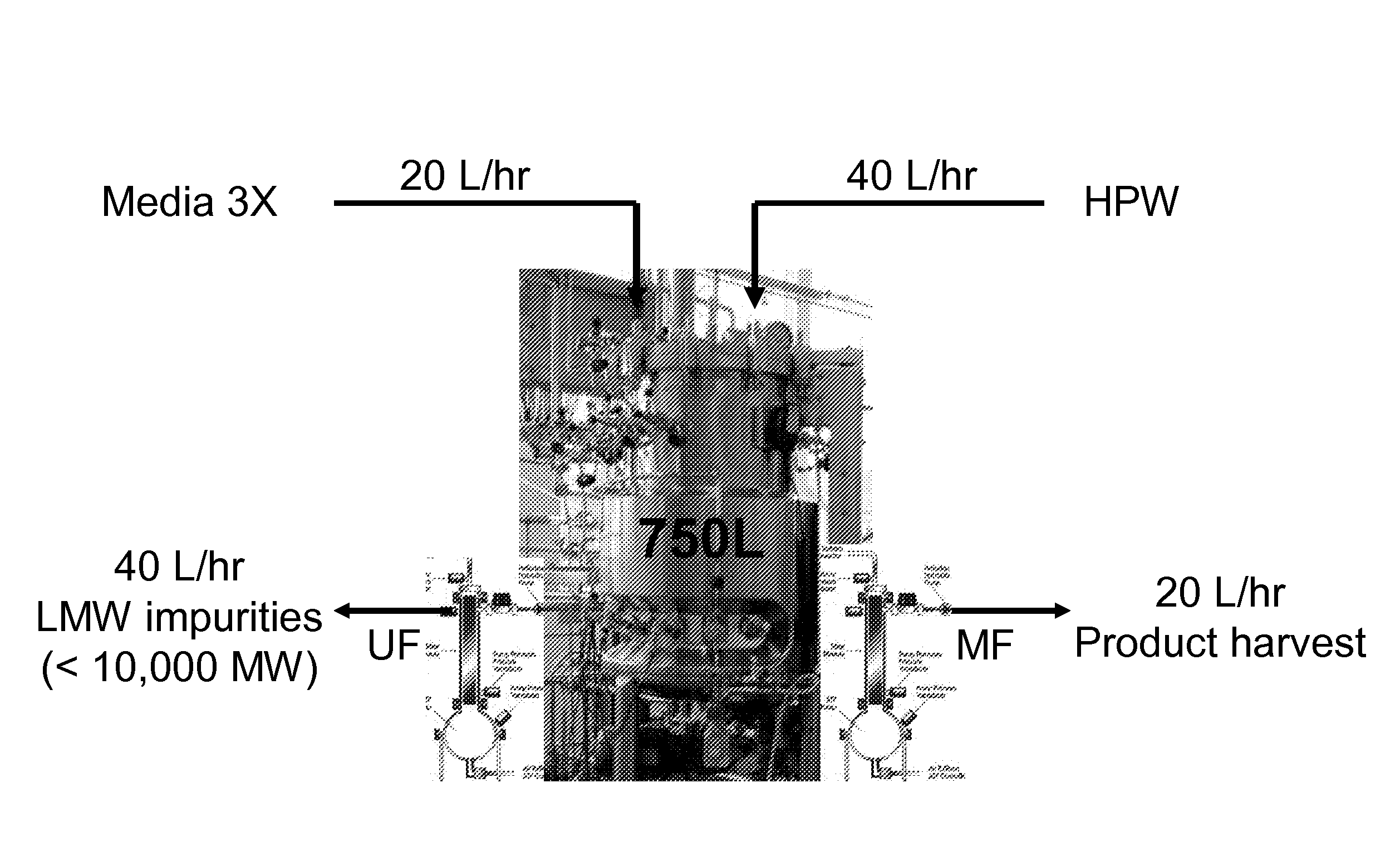 Method For Producing a Biopolymer (e.g. polypeptide) In A Continuous Fermentation Process