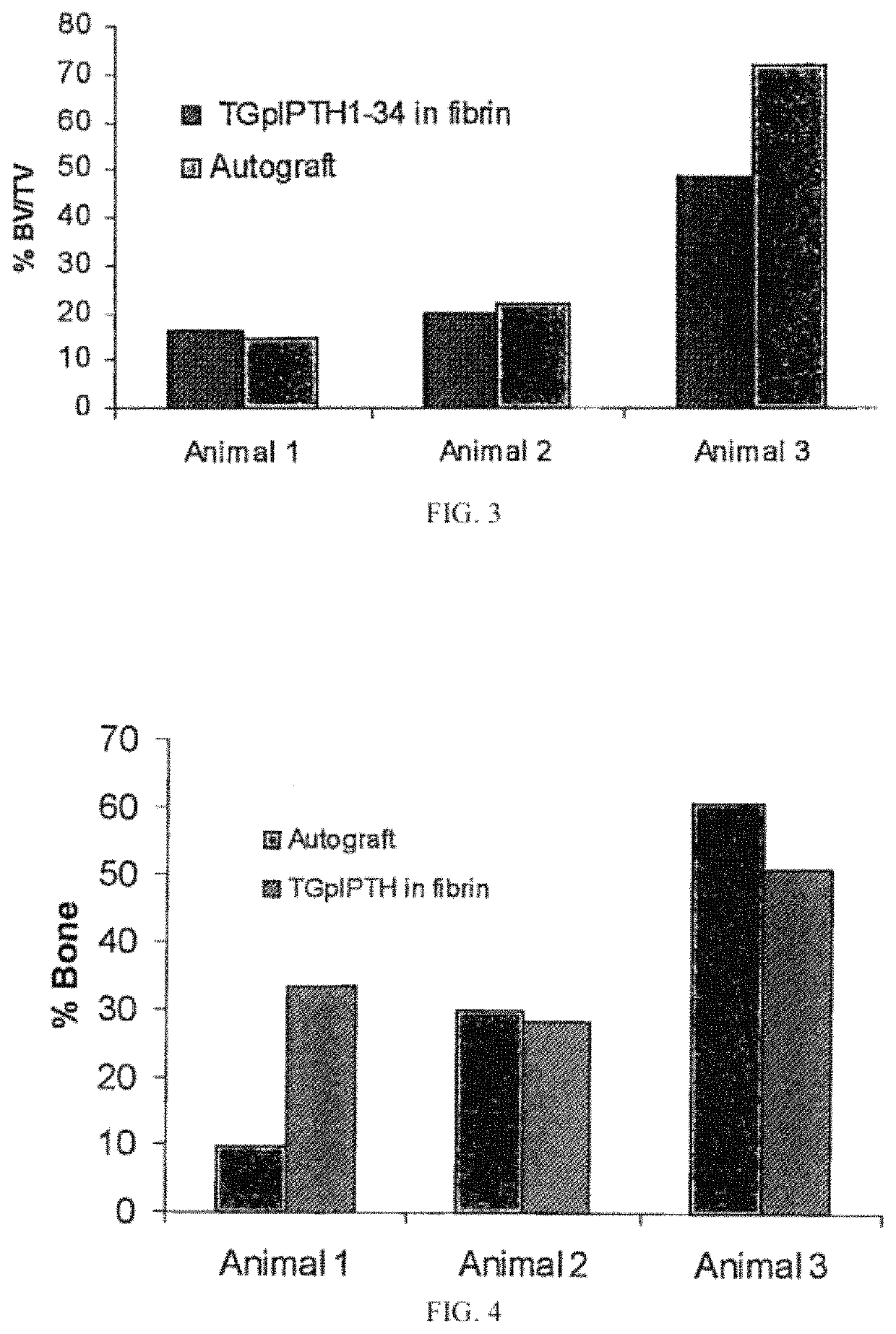 Pharmaceutical formulation for use in spinal fusion