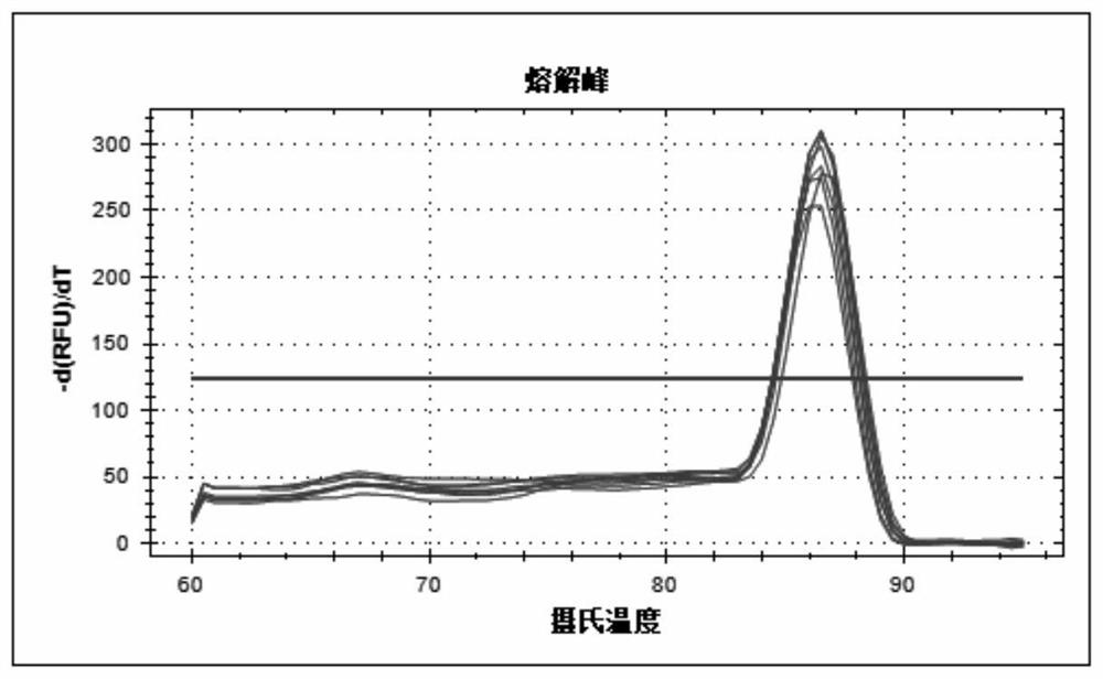 RT-qPCR detection method of slc2a9/glut9 gene transcription level in macaques