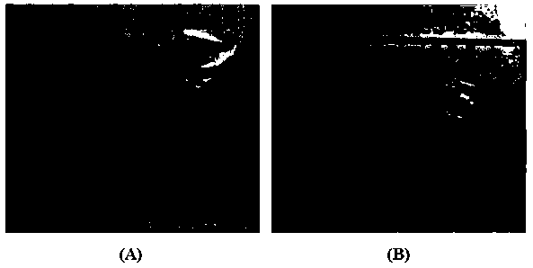 A kind of preparation method of phosphoric acid-doped layer-by-layer self-assembled polymer composite film