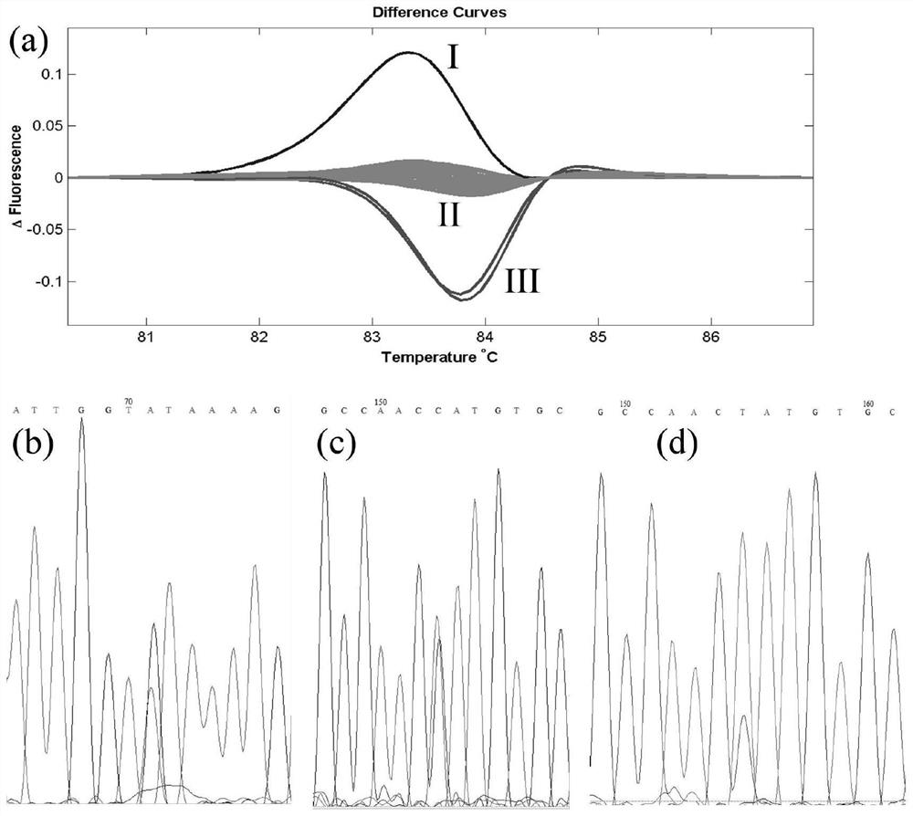 A HRM-based method for detecting mutations in the tobacco cadmium transport gene nthma4