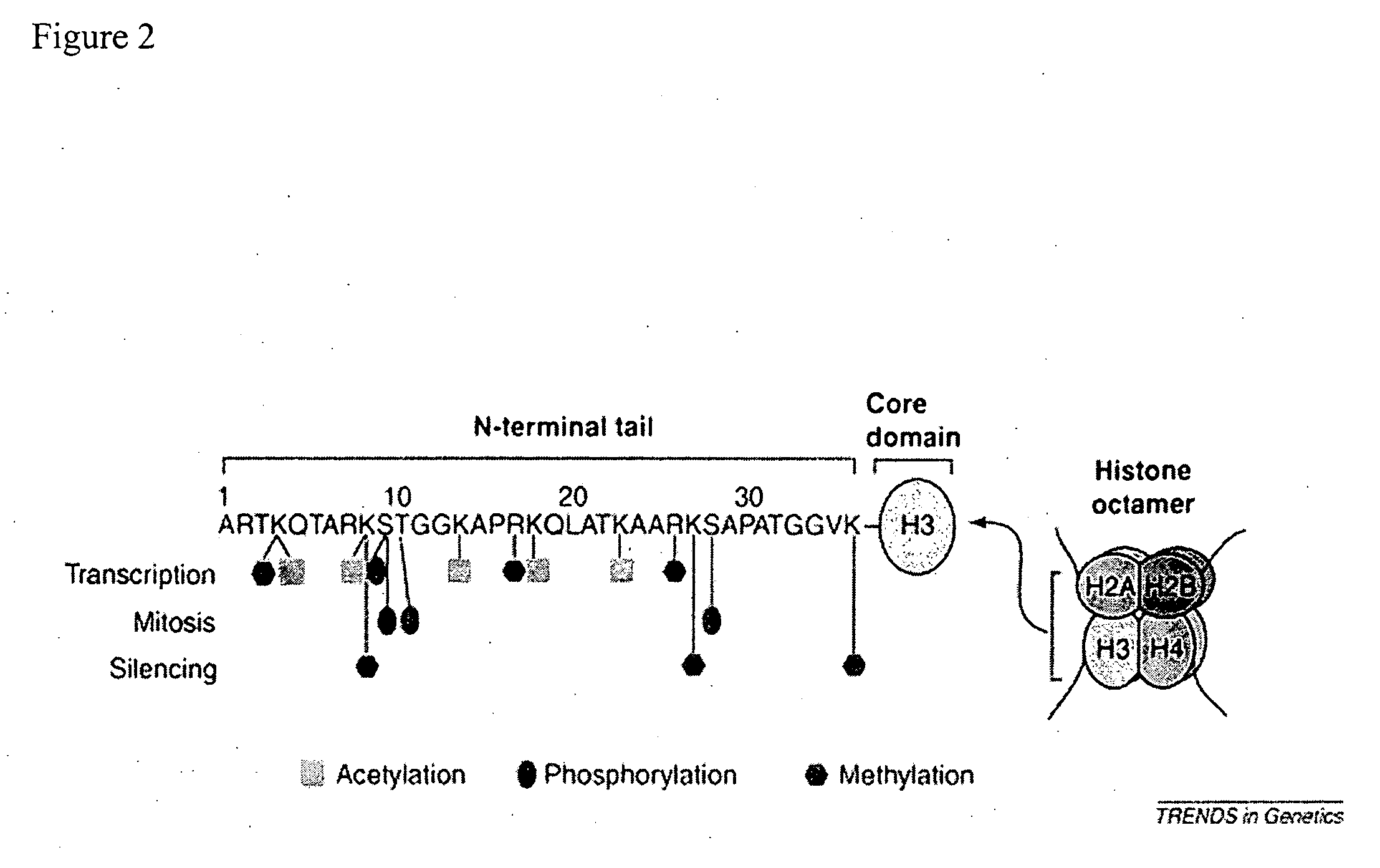 Chemical derivatization, detection, and identification of peptide and protein modifications