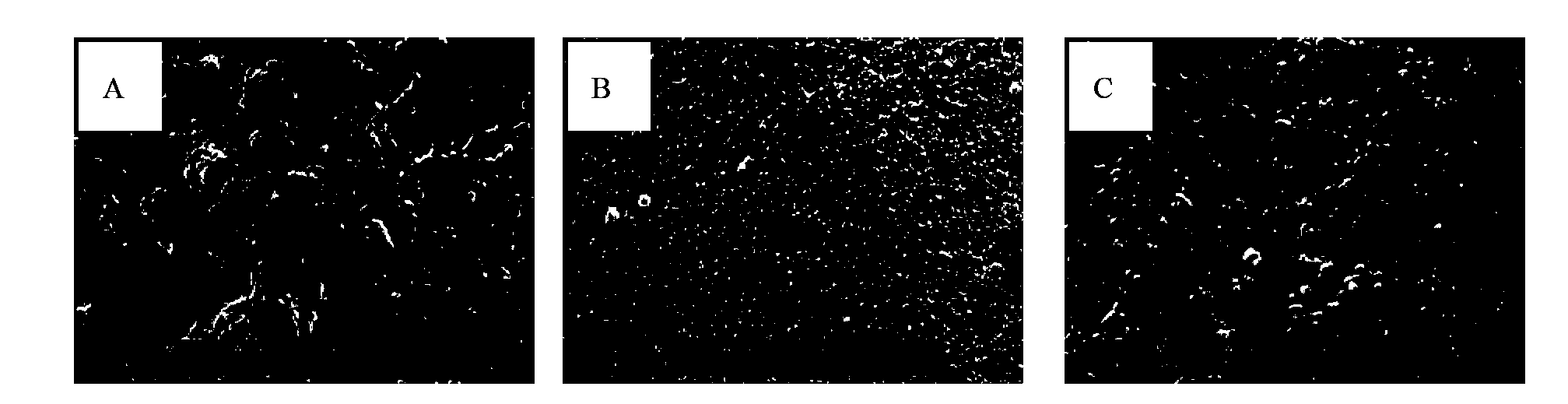 Preparation method for corn protein film with high antioxidation characteristic