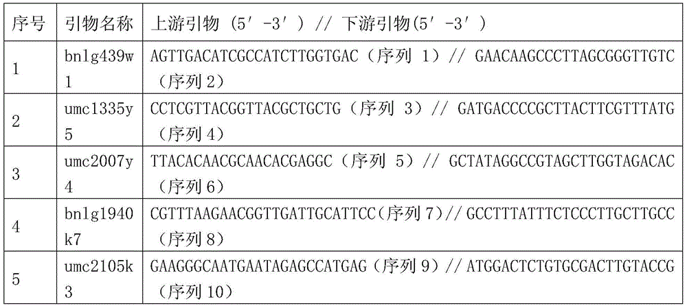 Seed production method of nk971 three-line matching hybrid