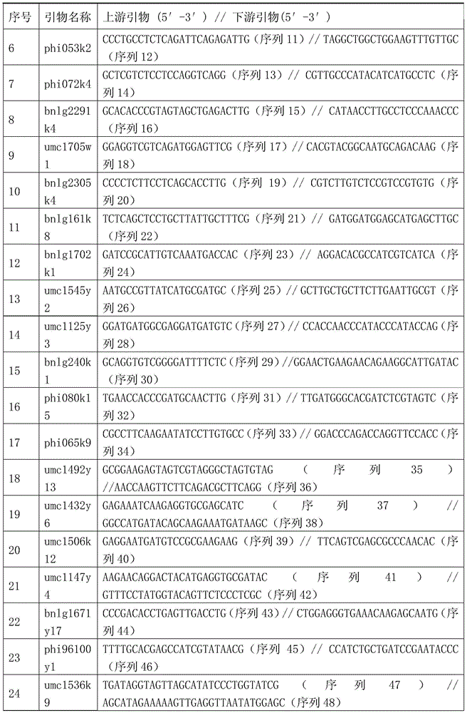 Seed production method of nk971 three-line matching hybrid