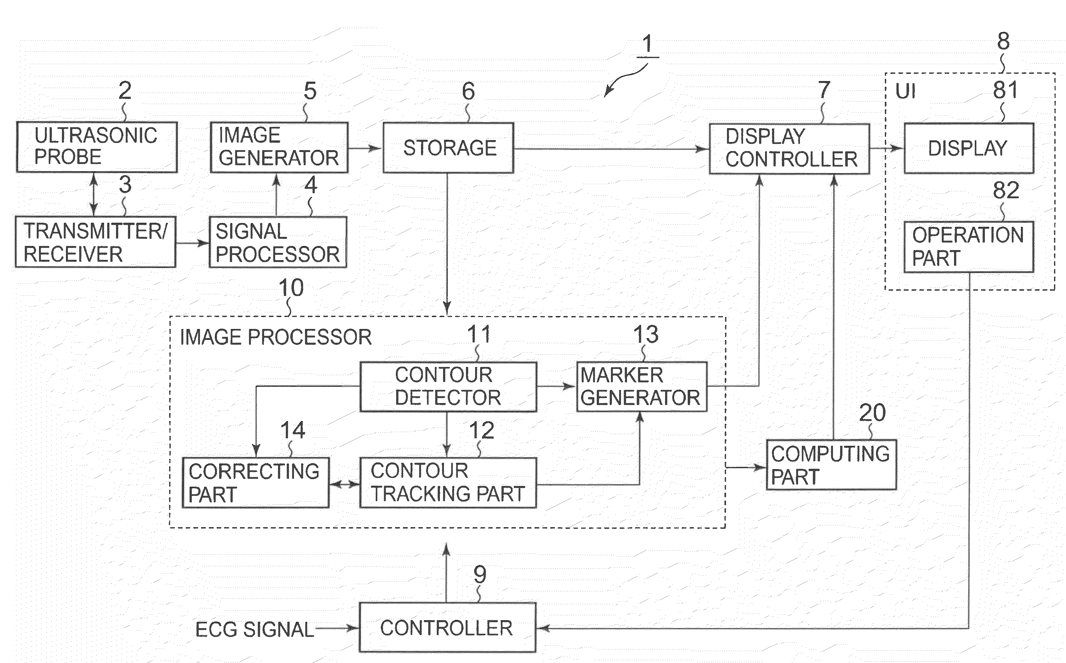 Ultrasonic image processing apparatus and method for processing ultrasonic image