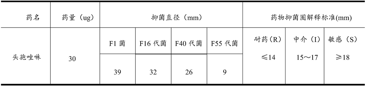 Staphylococcus drug resistance inducing method