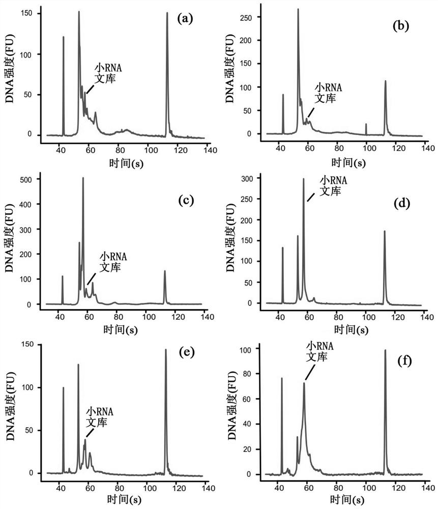 A high-throughput single-cell small RNA library construction method