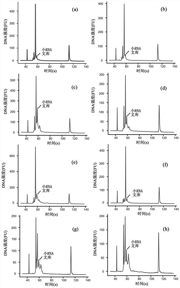 A high-throughput single-cell small RNA library construction method