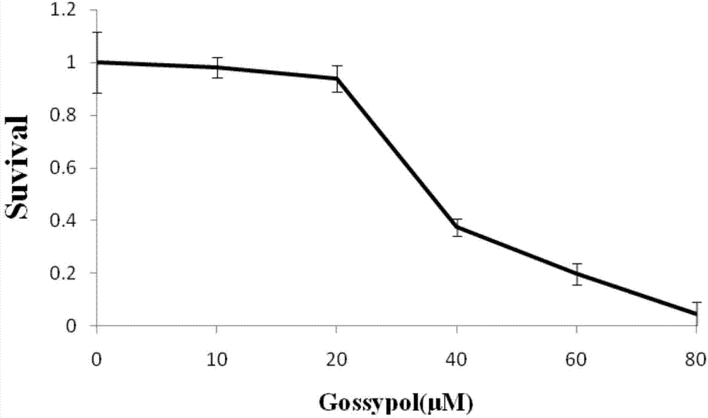 Novel application of gossypol