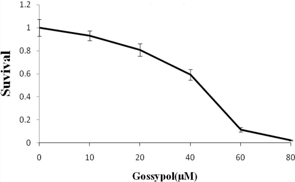 Novel application of gossypol